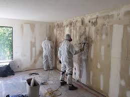 Best Mold Documentation for Insurance Claims  in Newport, RI